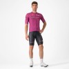 Bekleidung Herren Cyclamen Trikot Giro d'Italia 2024 Classification
