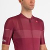 Bekleidung Herren Trofeo Giro d'Italia 2024 Trikot-Bordeaux