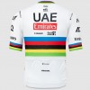 Bekleidung Herren Team UAE 2024 Pissei trikot-Weltmeister