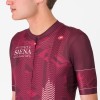 Bekleidung Herren Trikot Siena Giro d'Italia 2025