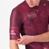 Bekleidung Herren Trikot Siena Giro d'Italia 2025