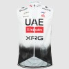 Bekleidung Herren Pissei UAE Team Emirates 2025 weste