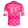 Bekleidung Herren Rapha EF Education EasyPost Pro Team Training 2025 Trikot