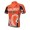 Teams Euskaltel Euskadi 2014 Fahrradtrikot Radsport BWGIB